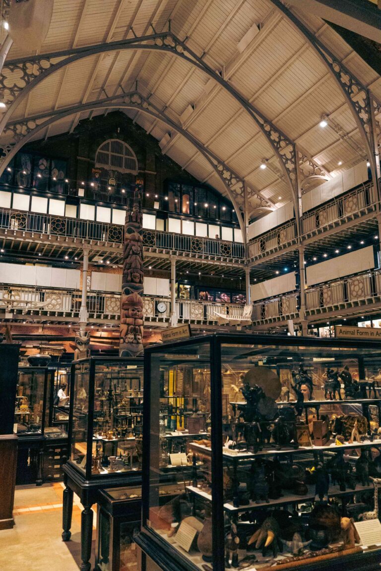 the pitt rivers museum interior